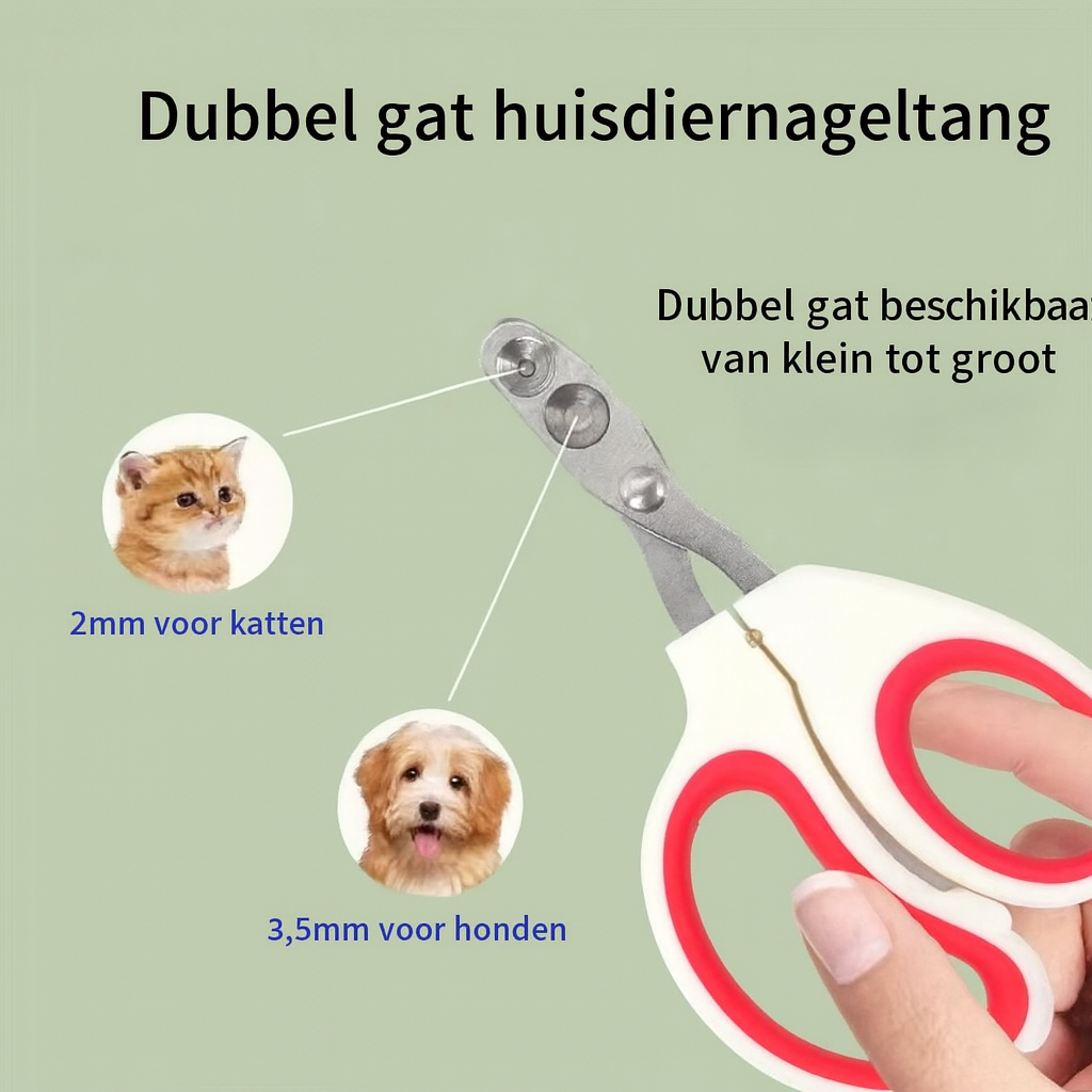 Blijbeest Nagelschaar