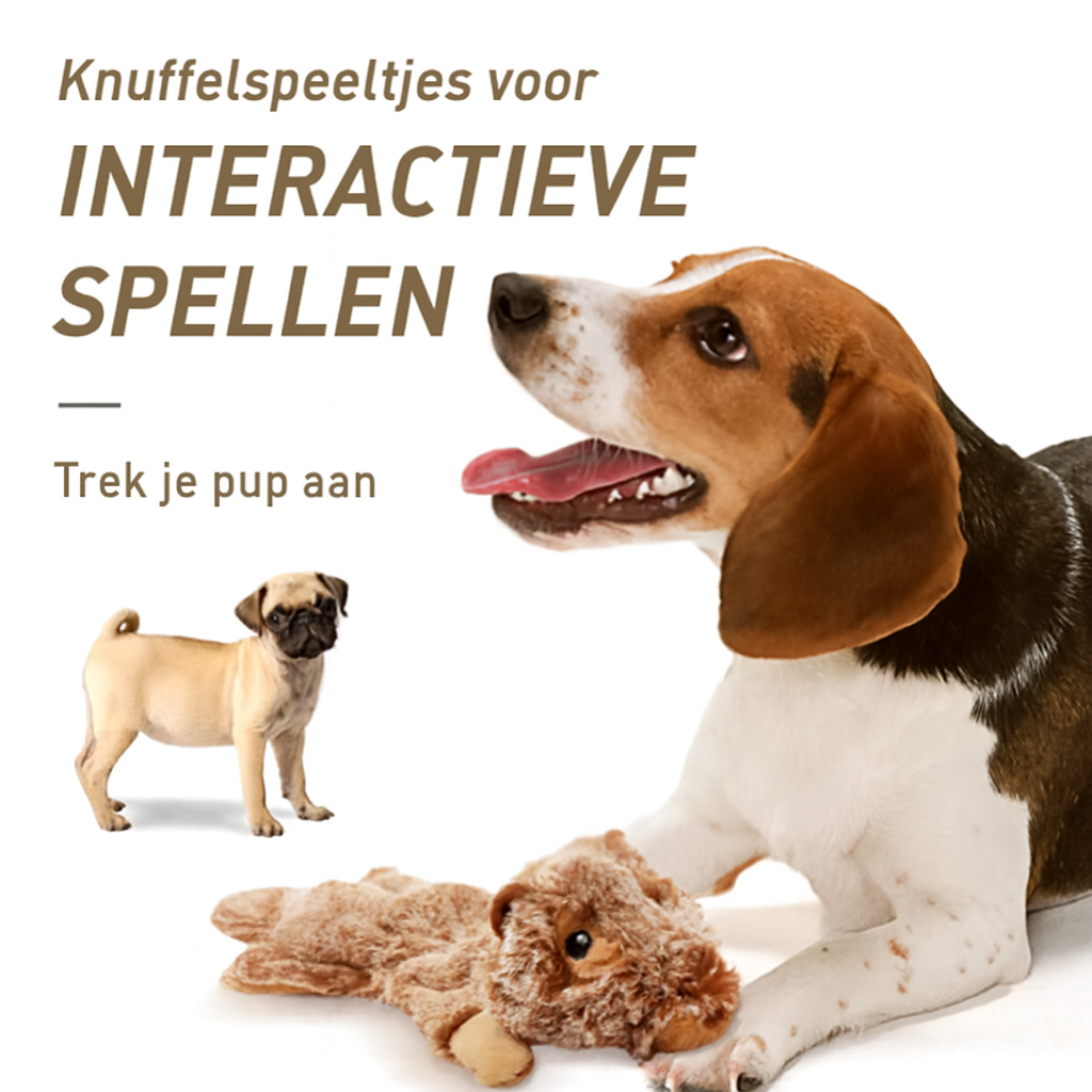 Blijbeest Maatjes 5-Pack