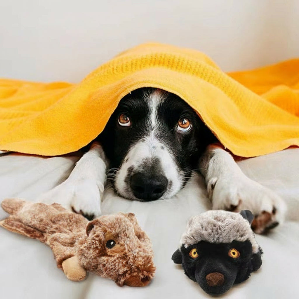 5Pcs Dog Squeaky Toys No Stuffing Toys Crinkle Dog Toys Durable Dog Chew Toys Plush Cute Animals Natural Puppy Toy for Teething